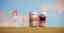 work_seltzer.jpg